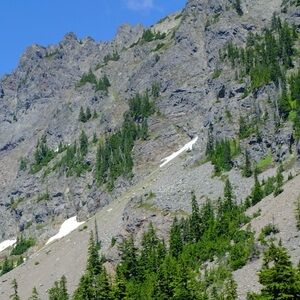 Meet your Posher, Regina